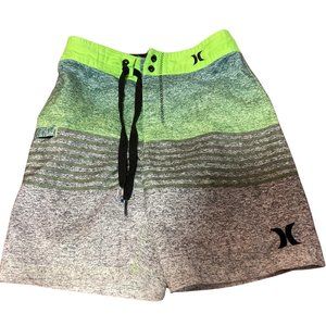 Blue/Lime/White Board Shorts
